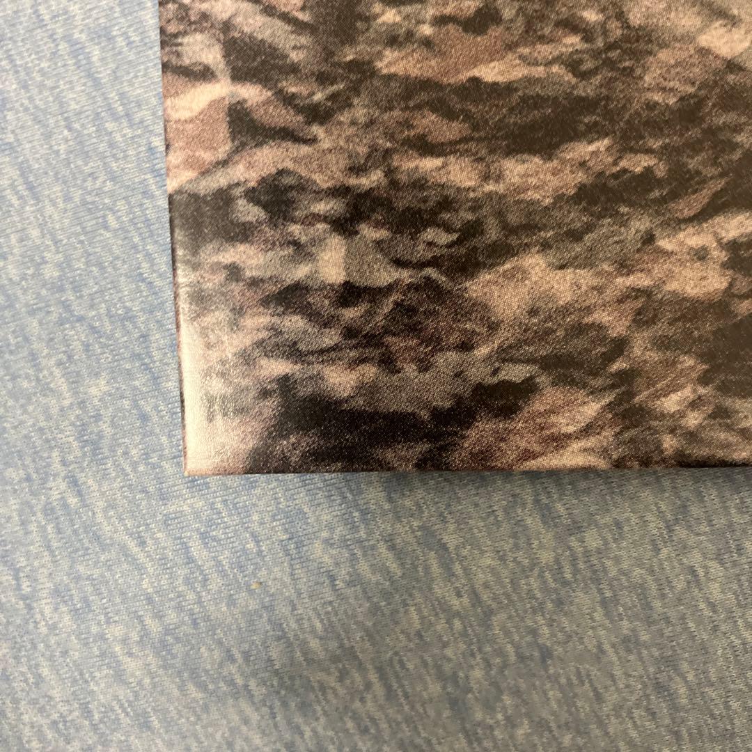 毛皮のマリーズ Gloomy LP レコード 新品未使用品