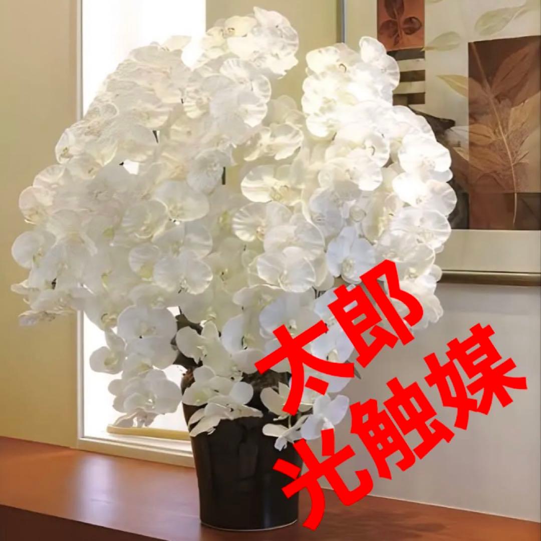 光触媒　人工観葉植物　プレミアム胡蝶蘭１０本立W 高さ90cm