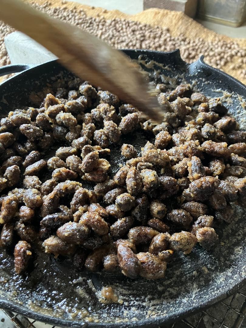 樹齢600年 榧の実（かやの実） 2025年産 1kg アク抜き済み