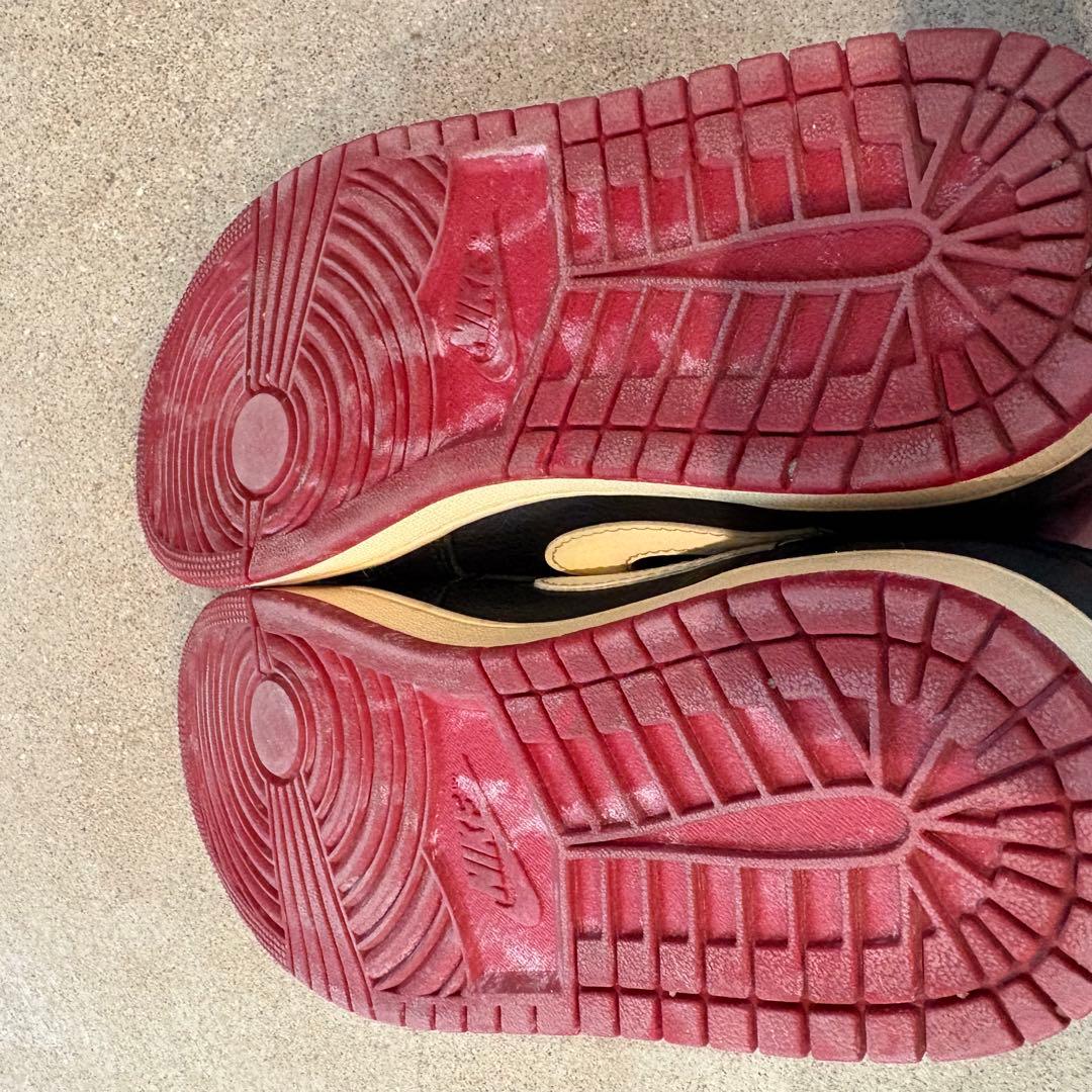 靴 NigelSylvester Nike AirJordan1