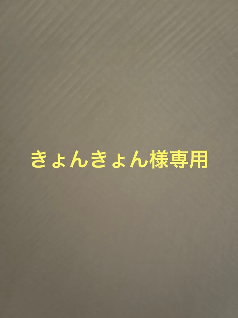 Z900RS フロントフォーク リアルカーボン カバー
