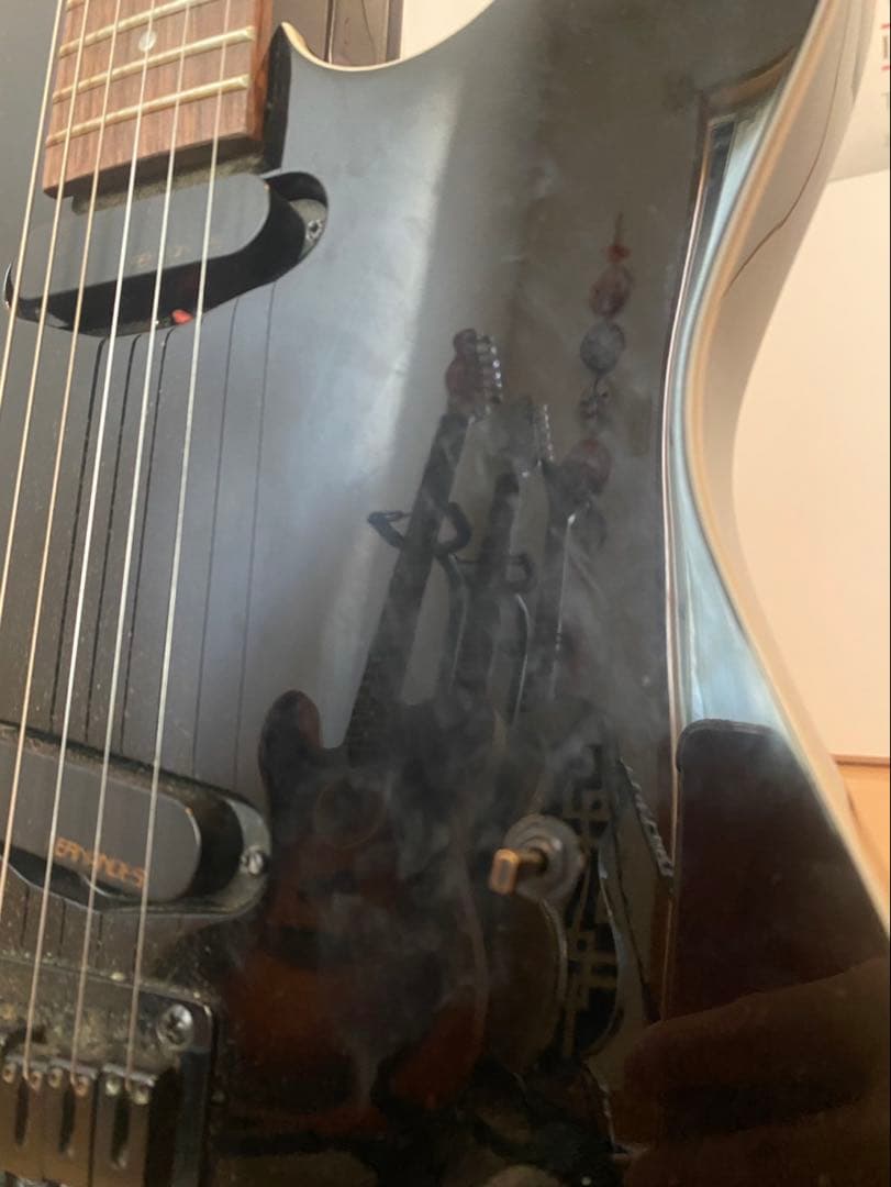 博*文様 【即購入歓迎】FERNANDES ギター