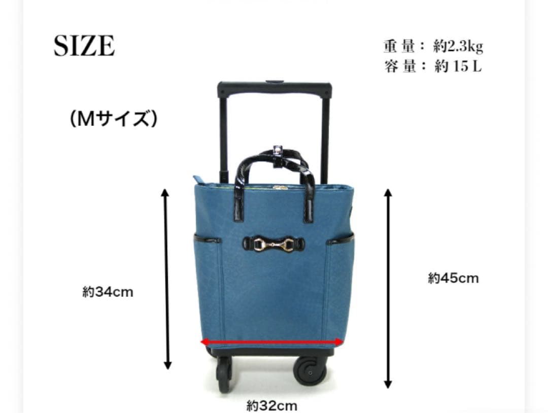 SWANY スワニー キャリーバック キャリーケース 機内持ち込み可　Mサイズ