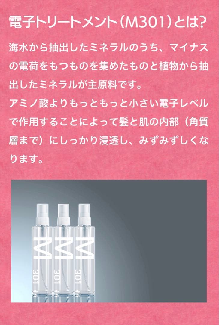 アルマダスタイルM301 1000ml