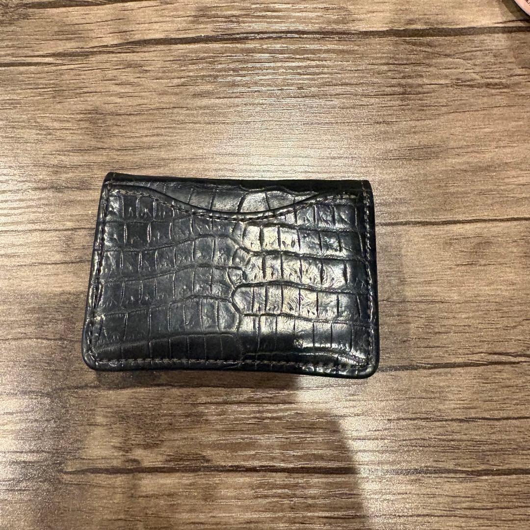 WILDSWANS CROCODILE / TONGU ケース