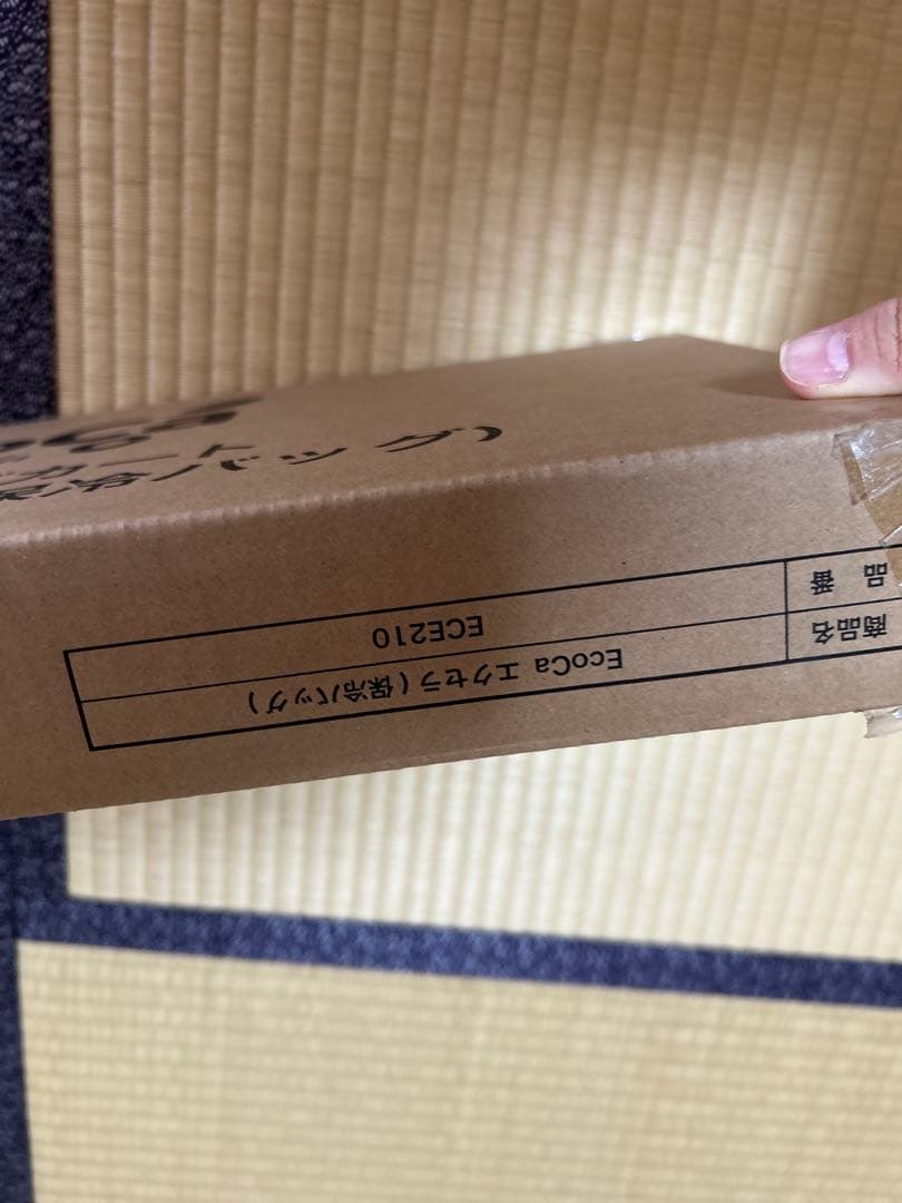 EcoCa エコカエクセラ 【保冷バッグ2個セット】 ショッピングカート 台車