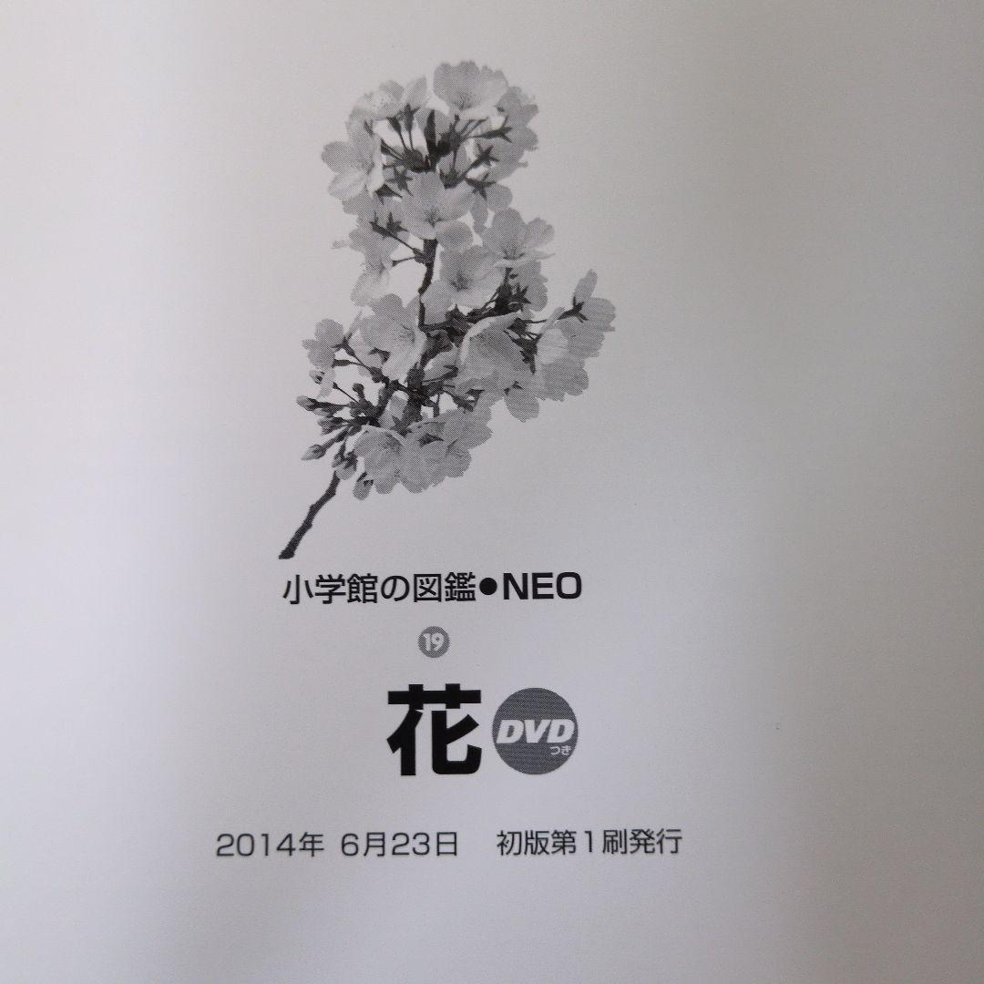 【15冊セット】小学館の図鑑NEO　まとめ売り DVD無し小学校の図鑑ネオ