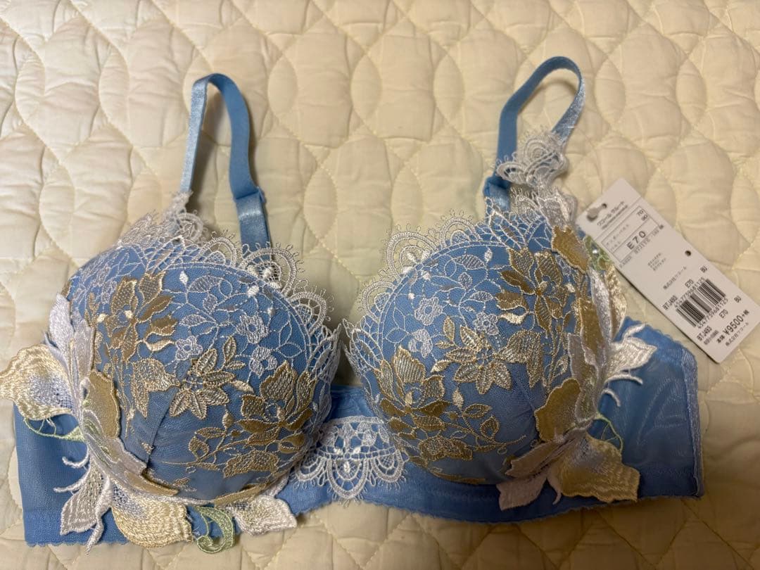 Salute E70.M ブラジャーショーツセット