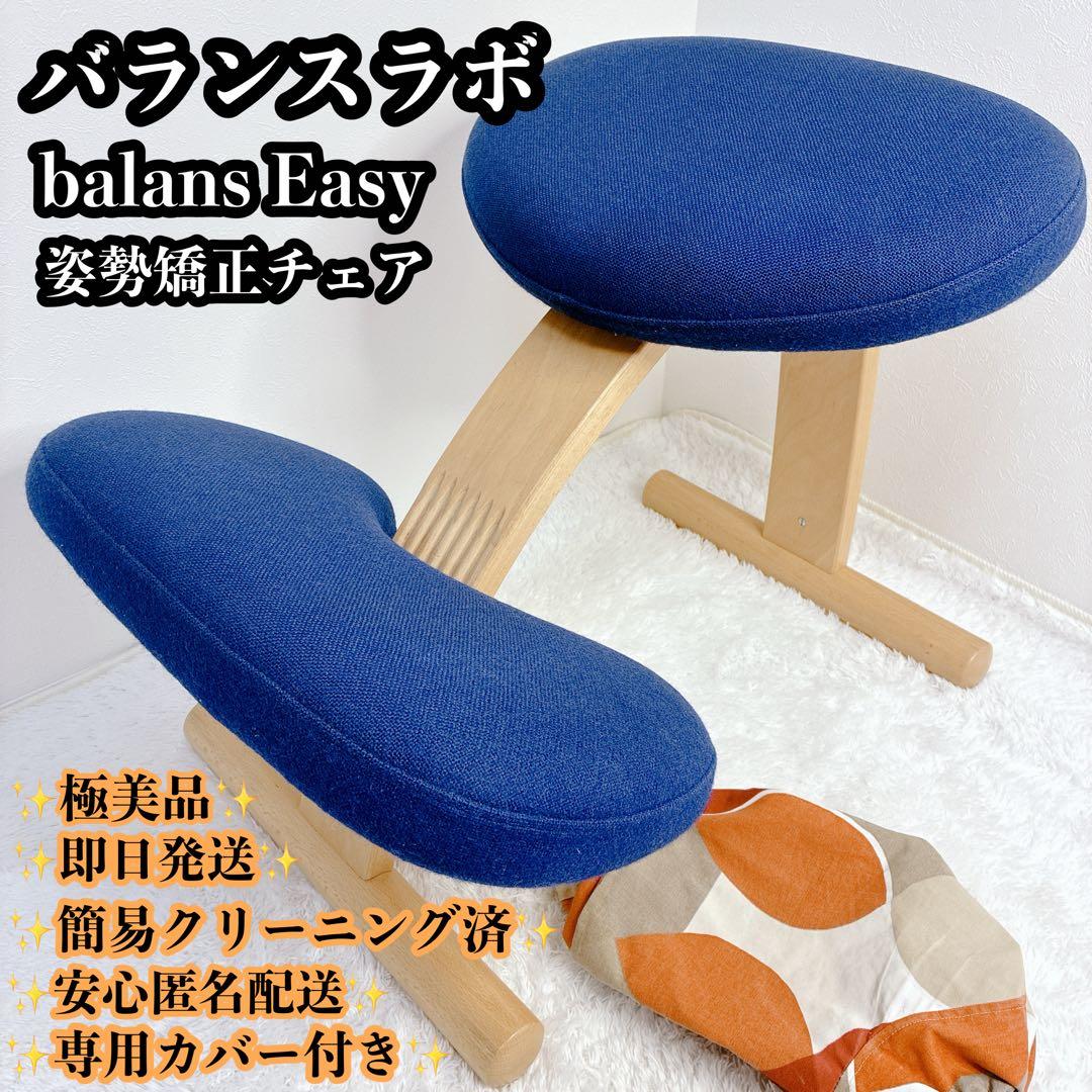 【極美品】 バランスイージー 通常フレーム 防水カバー付き ブルー