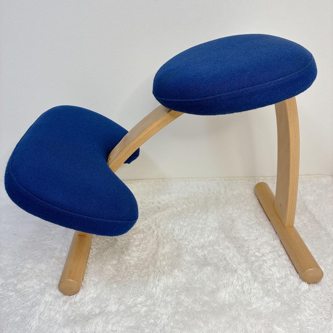 【極美品】 バランスイージー 通常フレーム 防水カバー付き ブルー