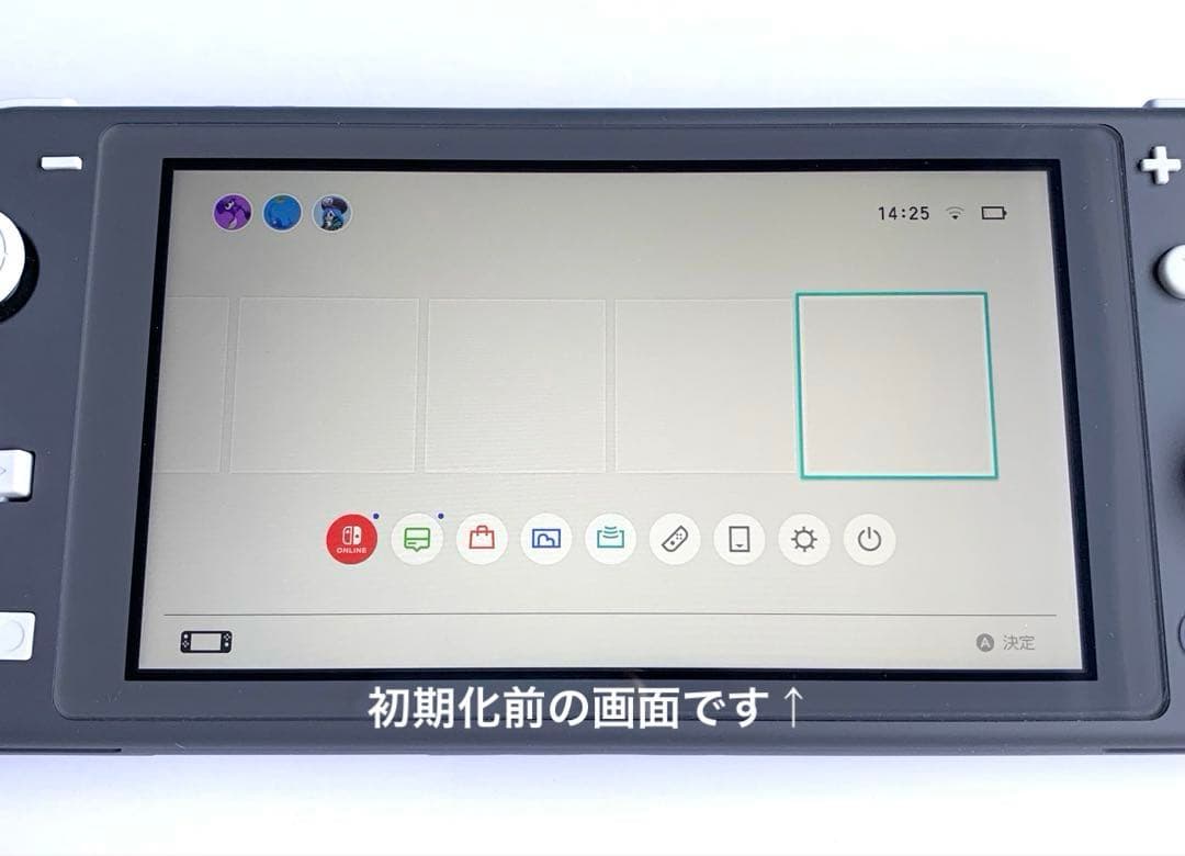 Nintendo Switch Lite 本体 グレー(充電器・ケース付き)