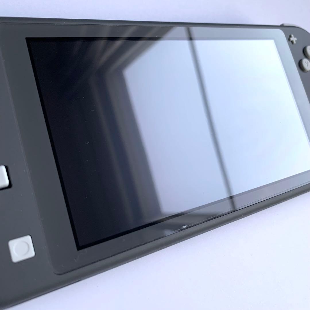 Nintendo Switch Lite 本体 グレー(充電器・ケース付き)