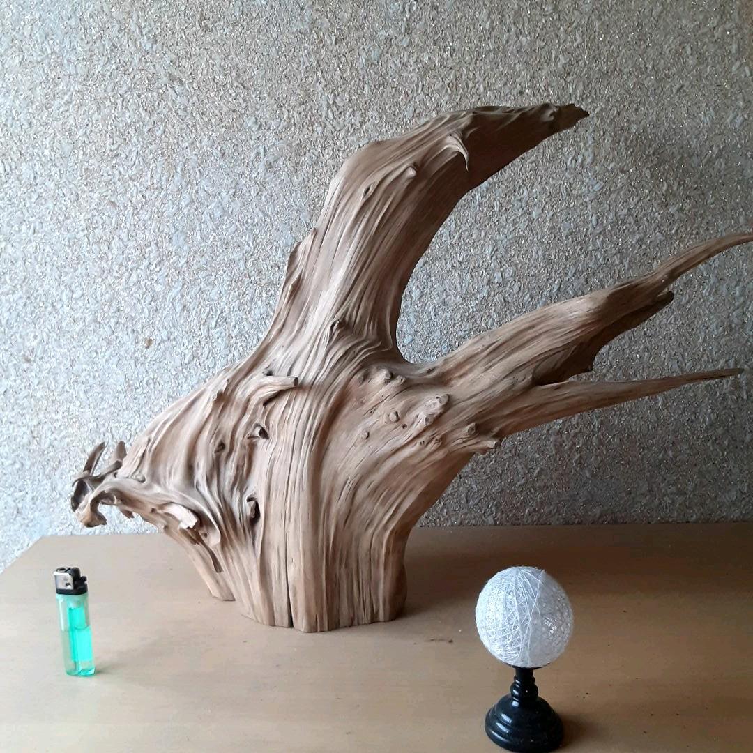 流木インテリア　(自作:加工済(ヤスリがけ))