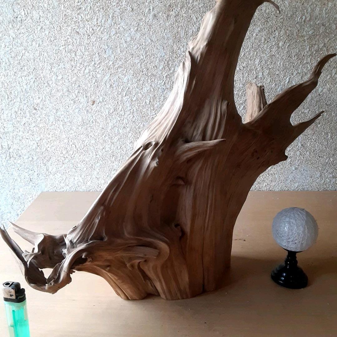 流木インテリア　(自作:加工済(ヤスリがけ))