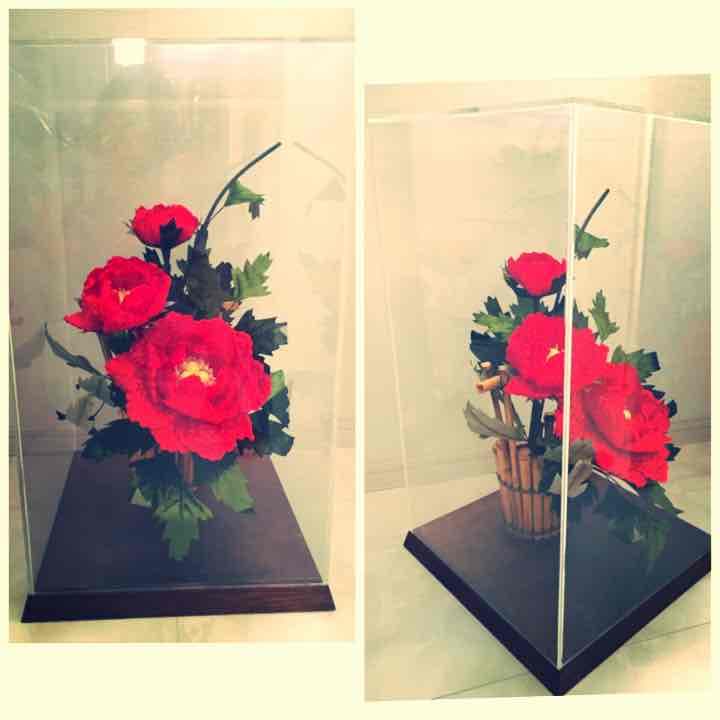 [大幅値下げ] 10万→5万円ツバキ (縁起物)