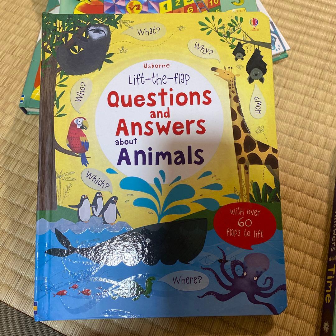 英語絵本Usborne フラップ絵本セット 6冊
