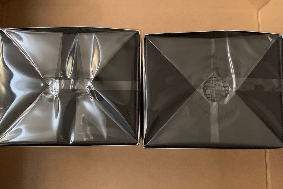 【新品　正規品】フューチャーソリューションLXトータル　日中用+夜用　2個セット