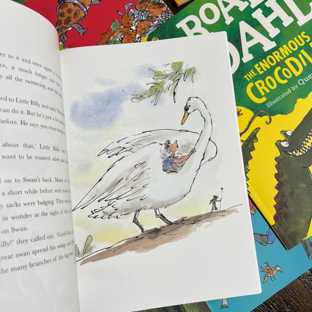 Ｒoald Ｄahl 20冊セット　英語絵本　洋書　音源付