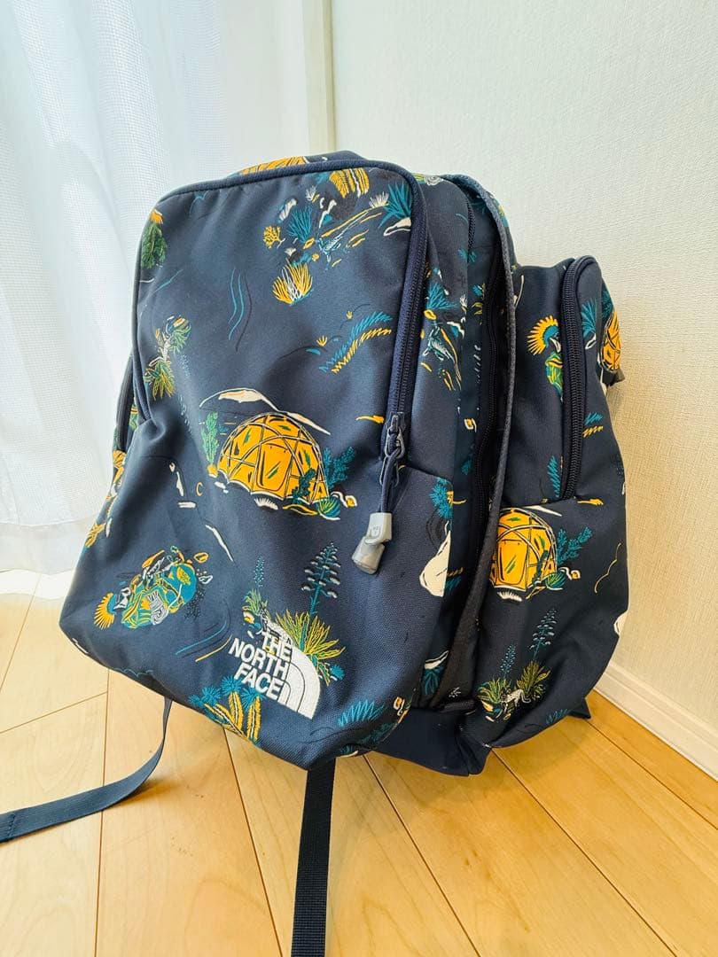 ノースフェイス THE NORTH FACE サニーキャンパー40＋6（キッズ）