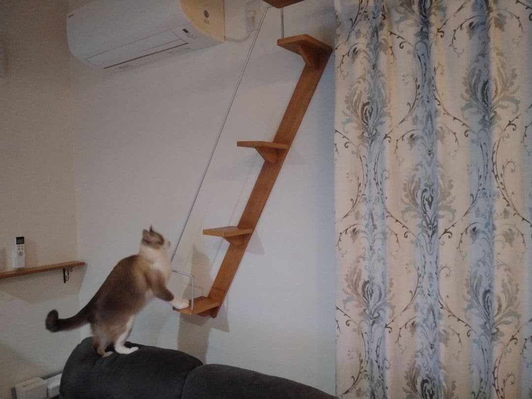 キャットウォーク、手すり付き階段、ねこちゃんもあんしん、軽量設計