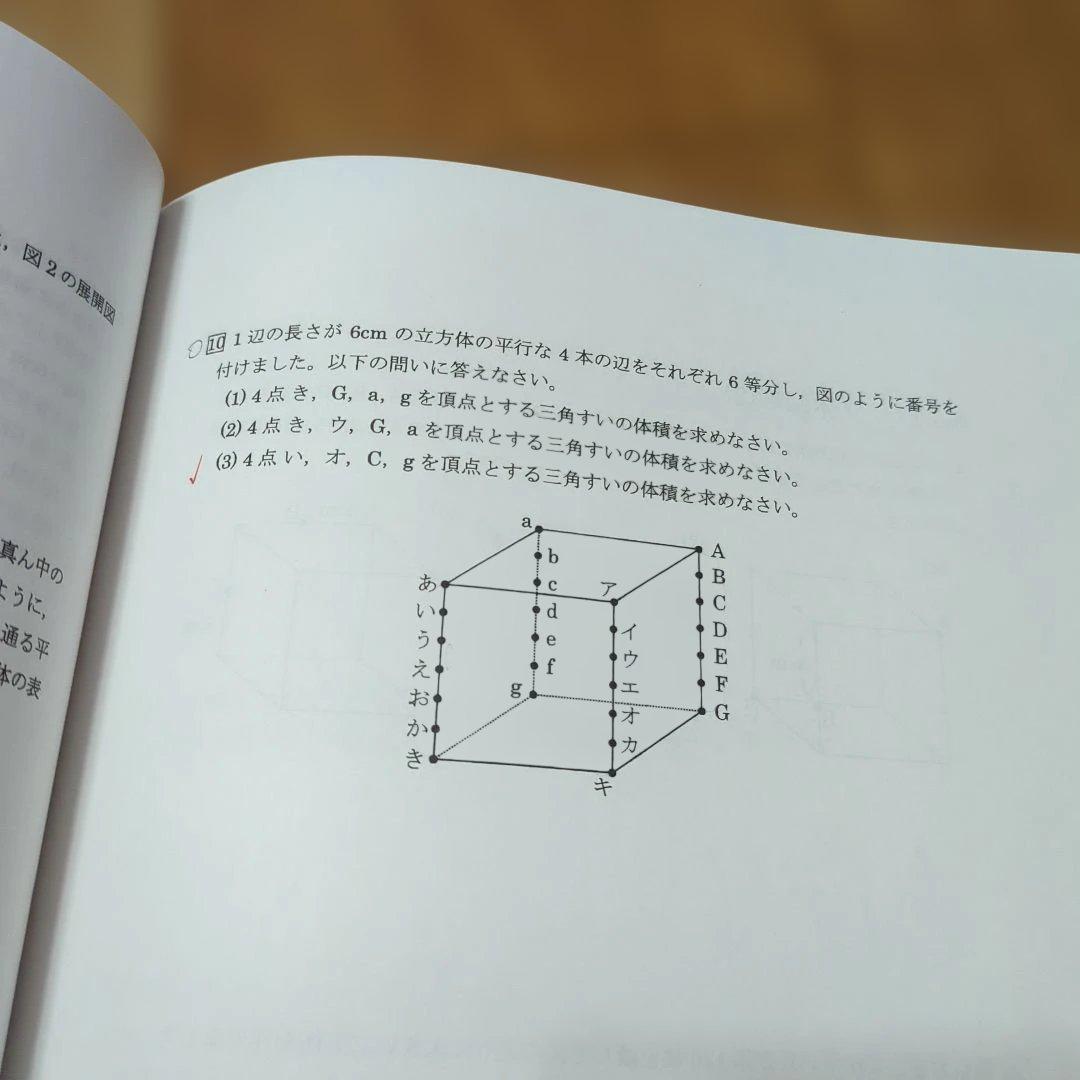 小6 算数 最高レベル特訓 No.28〜No.39復習＆実践テスト付き★浜学園