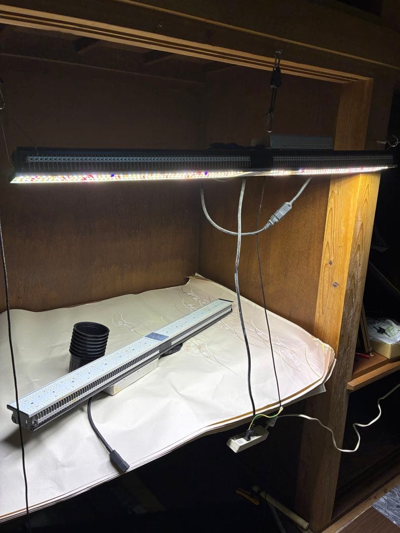 グロー　ライト　2個セット