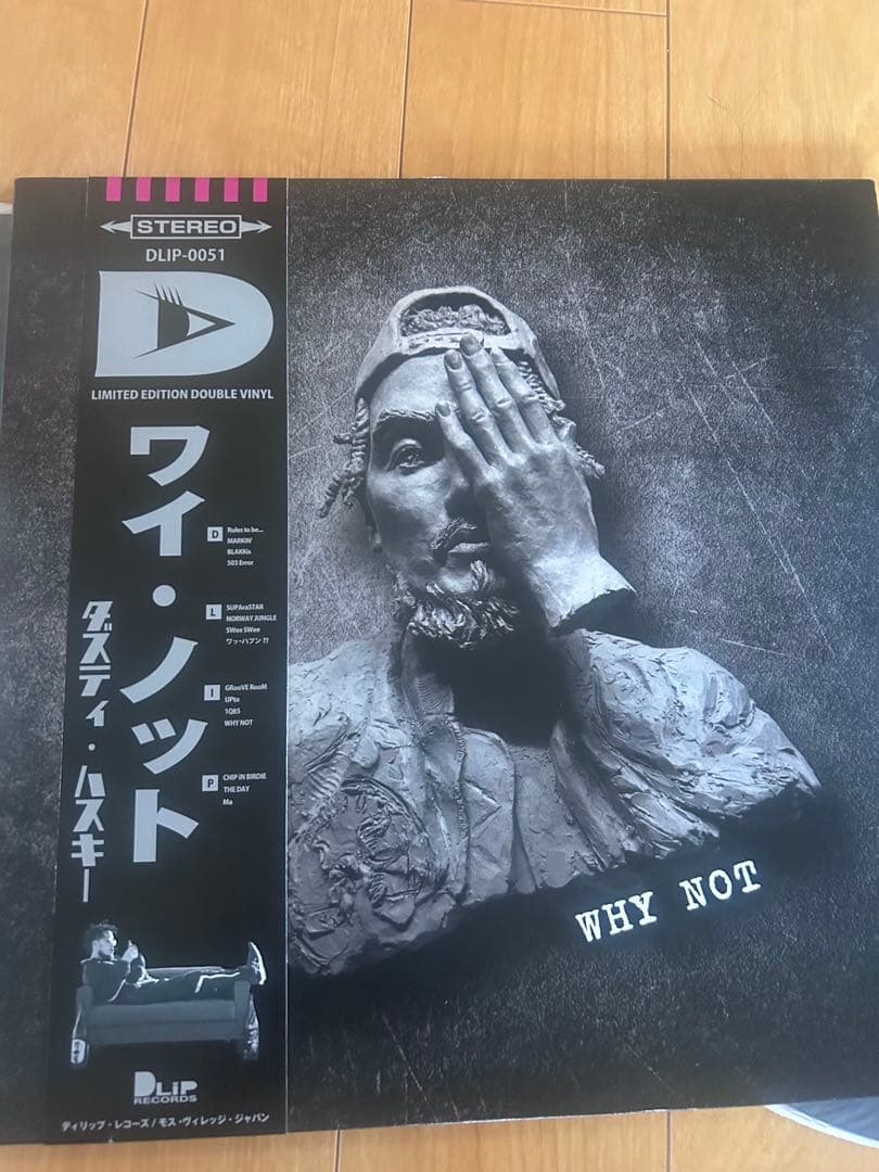 dusty husky why not 新品レコード