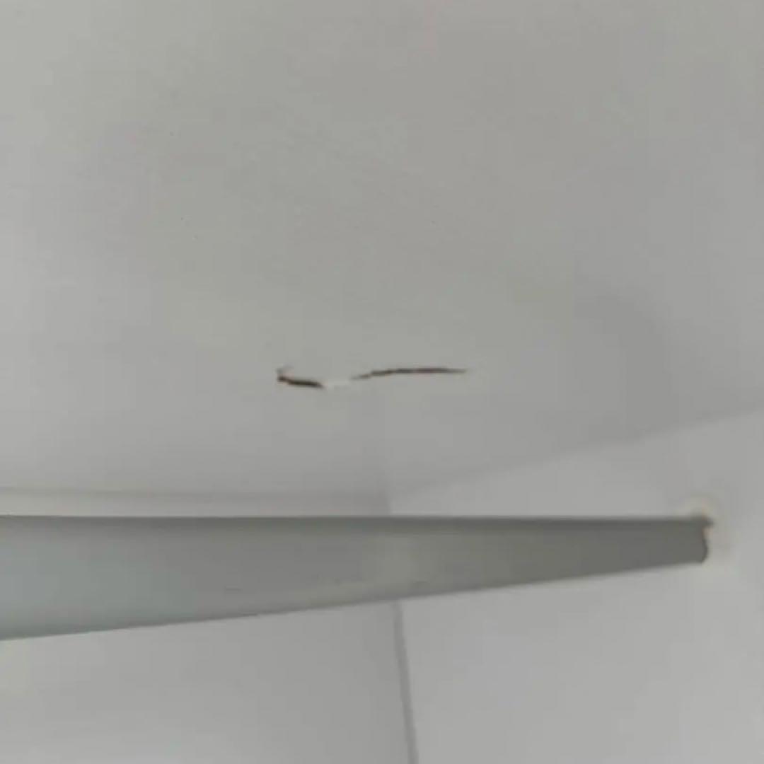 〔アネモネ〕 幅150cm 壁面収納 衣類収納 省スペース クローゼットハンガ