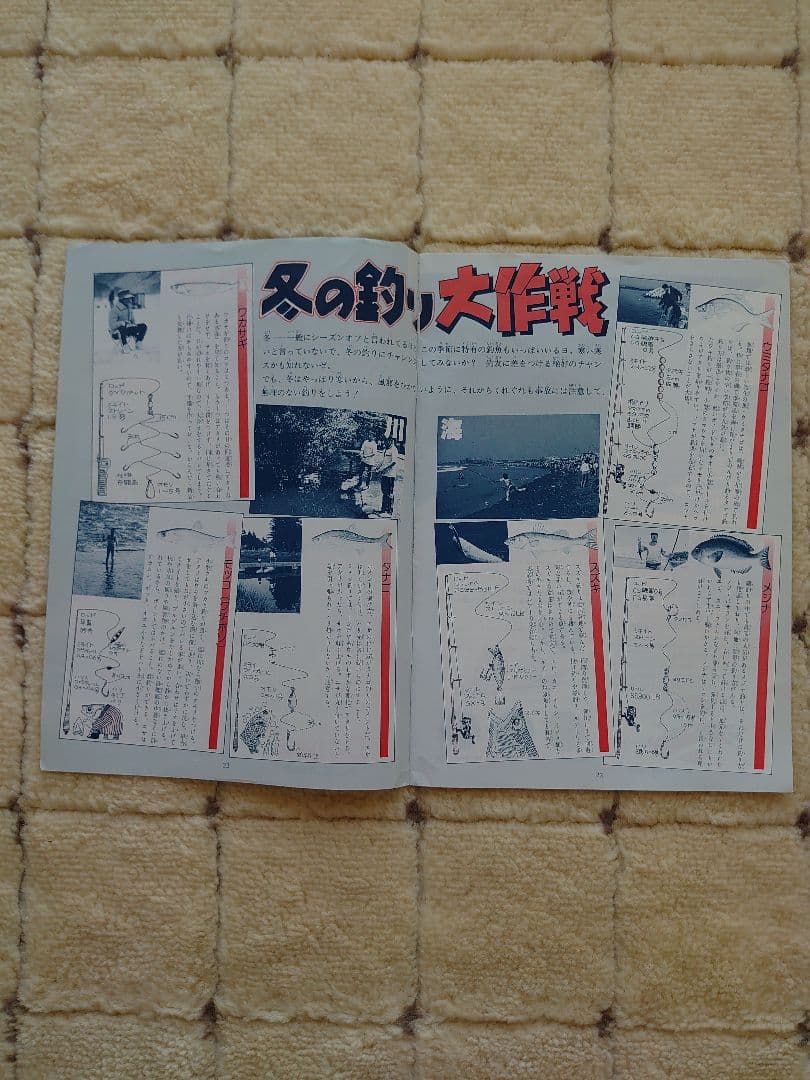 ダイワヤングフィッシングクラブ81年20号〜83年31号の12冊＋トランプ