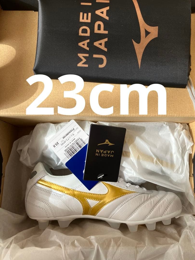 モレリア2 JAPAN 23cm