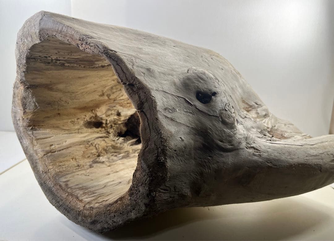 r86特大流木 アク抜き済み 爬虫類シェルター インテリア オブジェ テラリウム