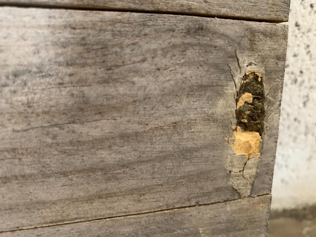 【廃盤品】SPICE スパイス　ジョセフアイアン 展示用 ディスプレイラック