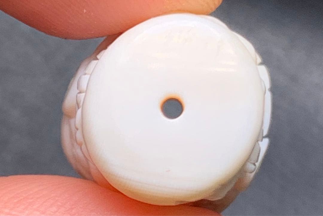 071190 一点限定❗️天然コンクシェルザキラム、貫通穴、14.3＊22.1ミリ