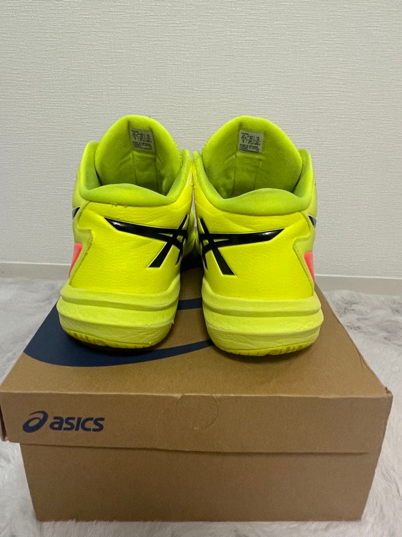 シューズ SKY ELITE FF MT 3 PARIS 28cm