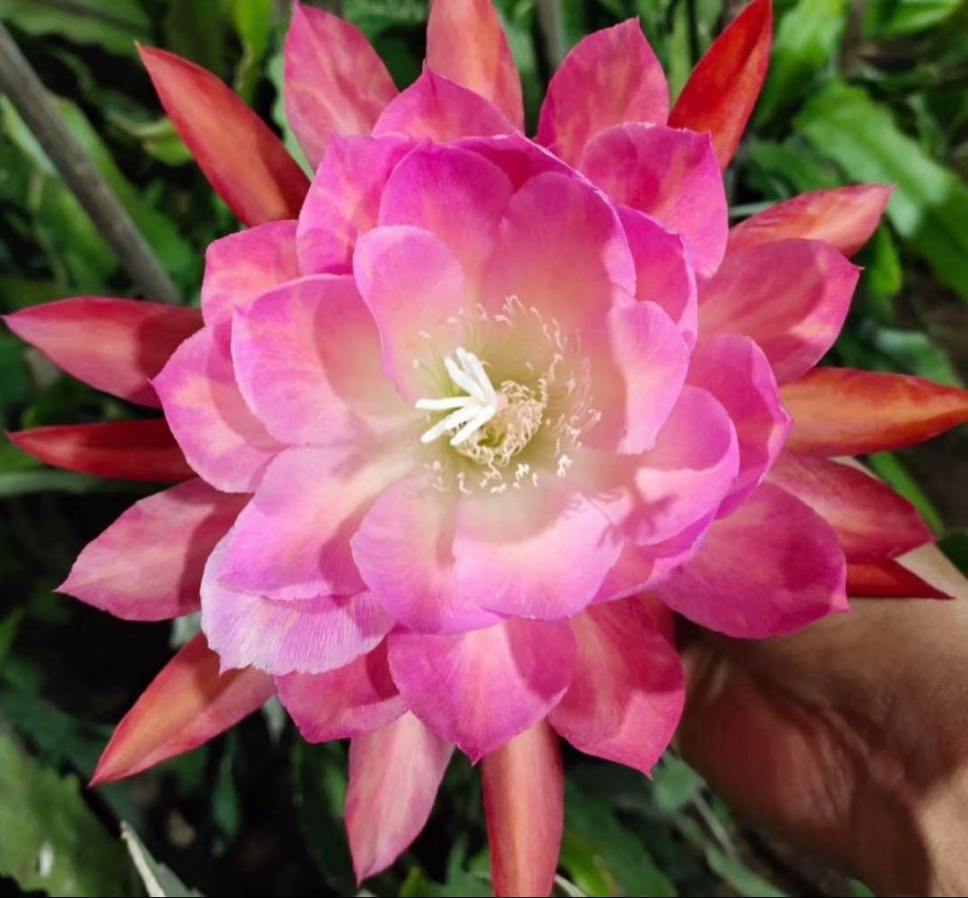 メル85316様　取り置き