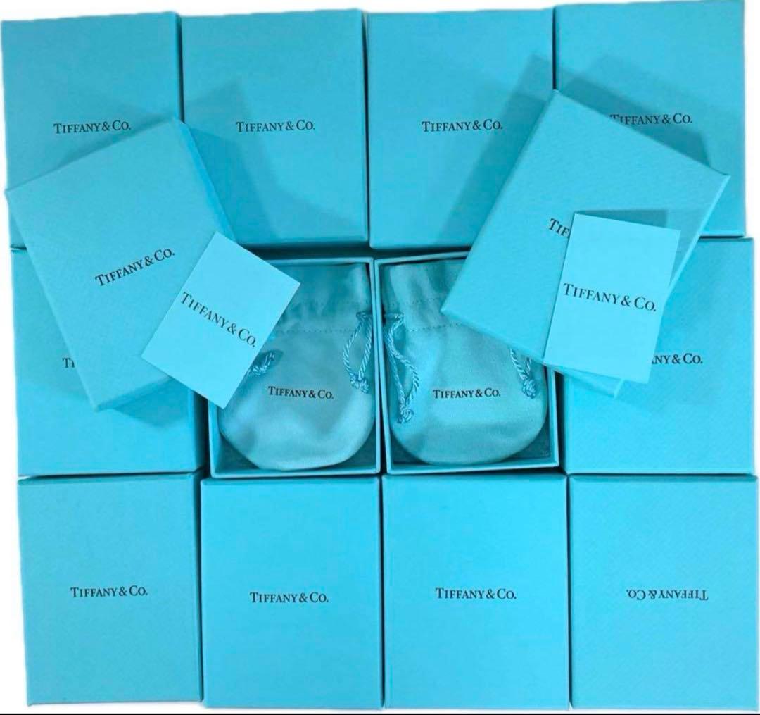 現行品Tiffanyティファニー空箱巾着取扱説明書12