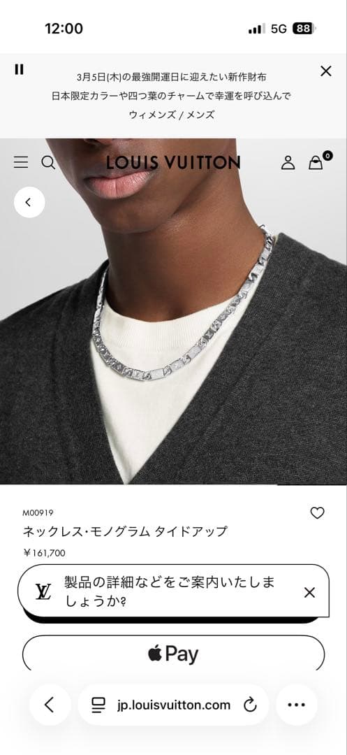 ルイヴィトン　タイドアップ　ネックレス