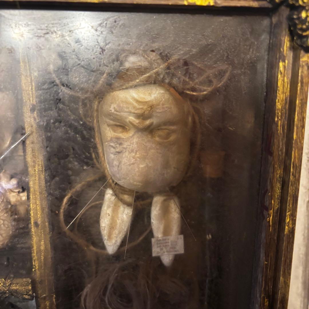 【Special Price】 異端収集者の秘密の標本箱（ウサギ）