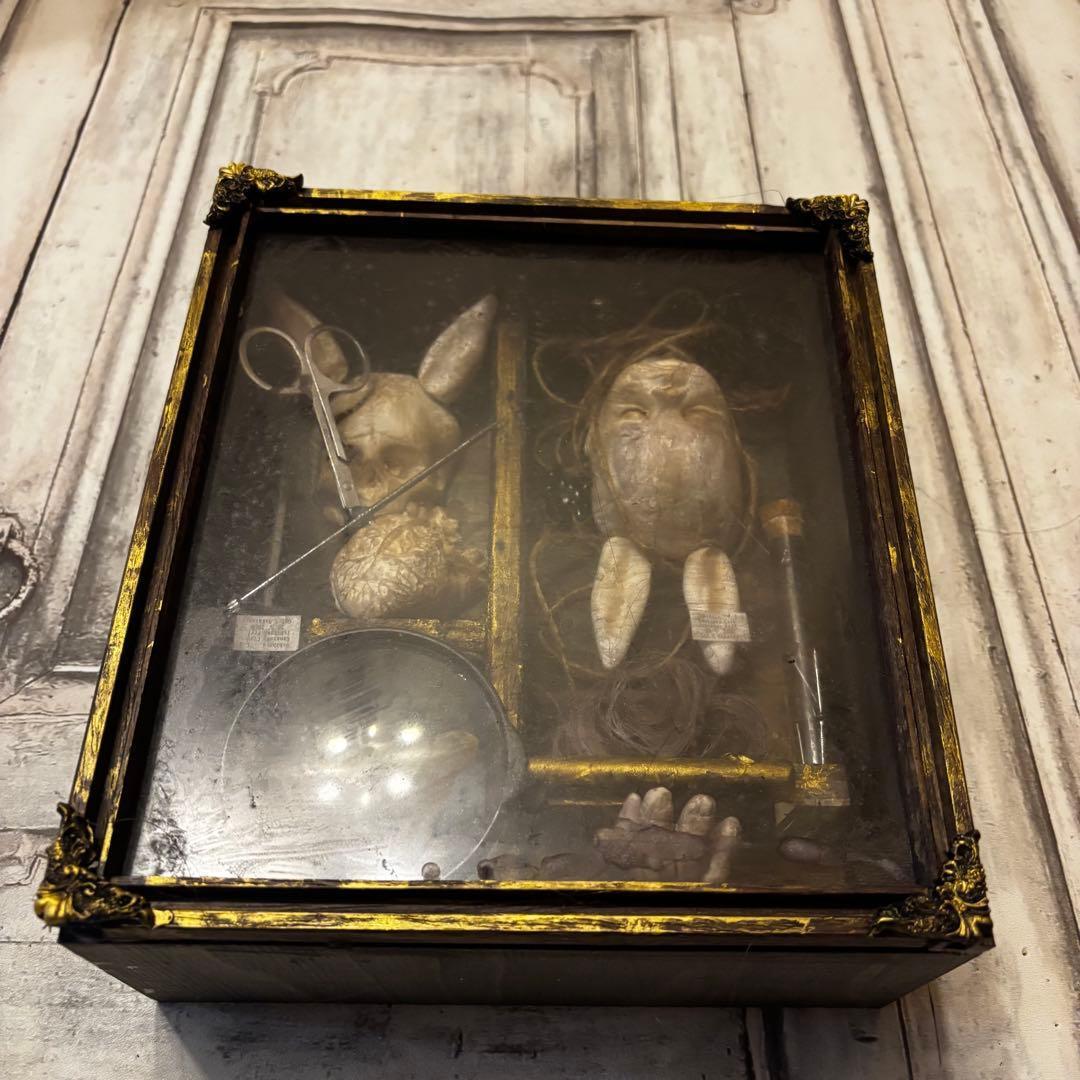 【Special Price】 異端収集者の秘密の標本箱（ウサギ）