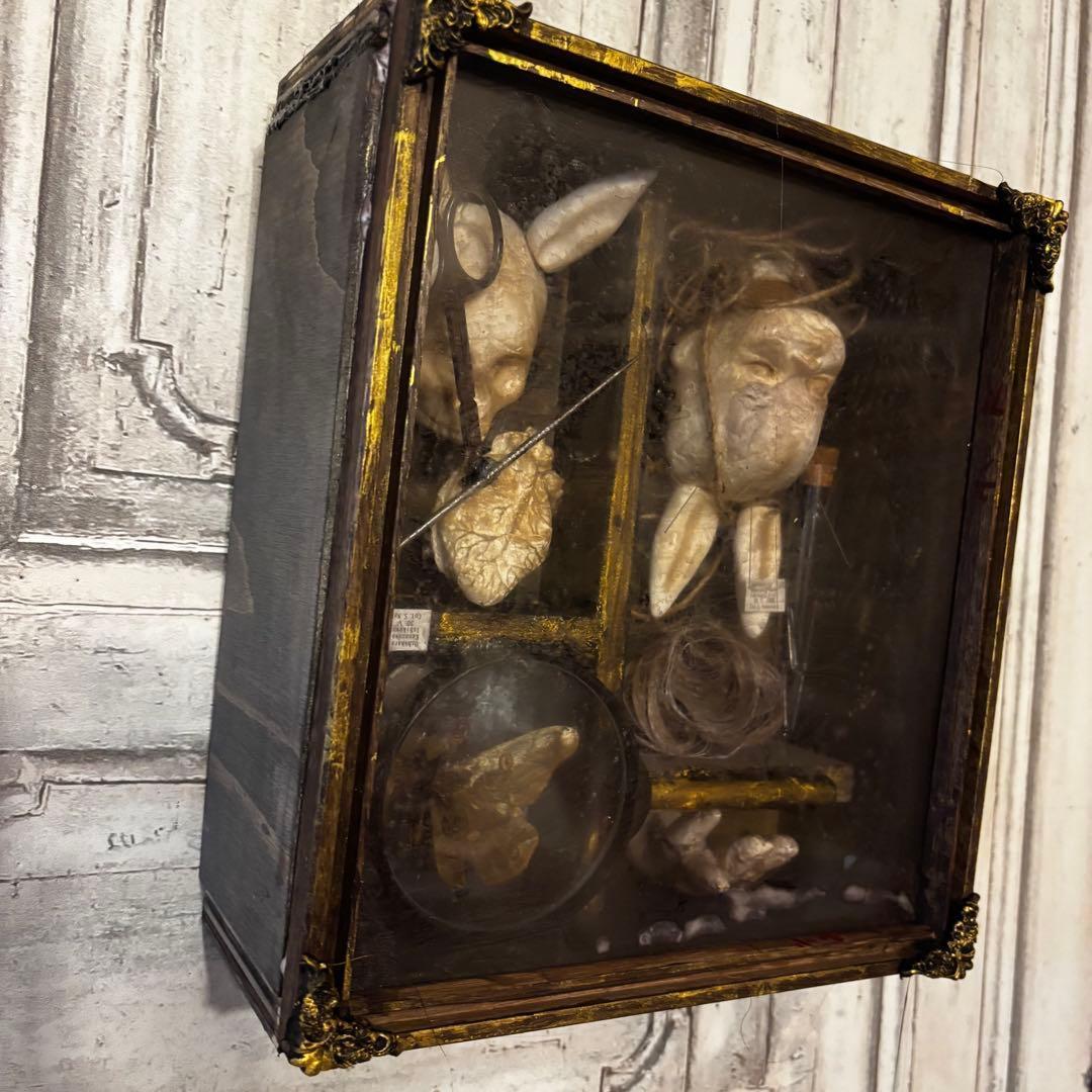 【Special Price】 異端収集者の秘密の標本箱（ウサギ）