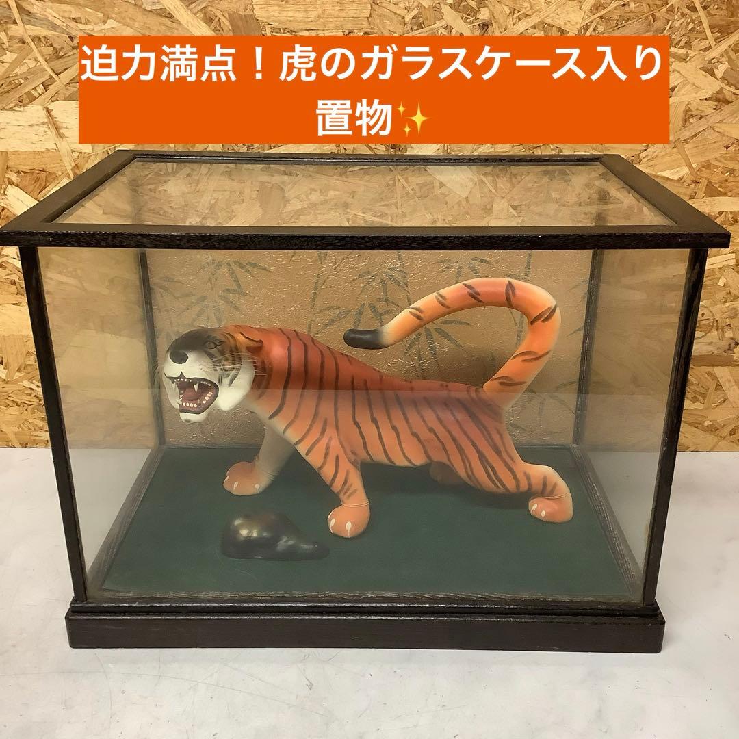 虎のガラスケース大型迫力置物 昭和レトロ 飾り 展示インテリア用品(P80)