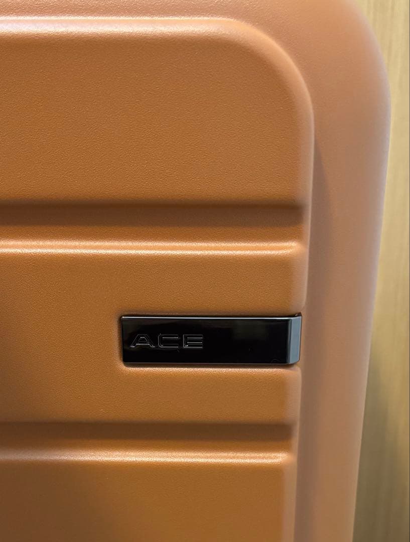 定価の半額‼️【極美品】ACE フレットボード 100L スーツケース