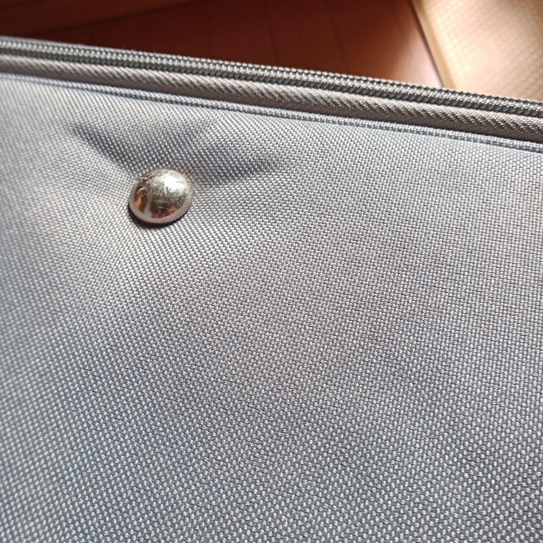 granp ゲージ　リュック　犬　猫