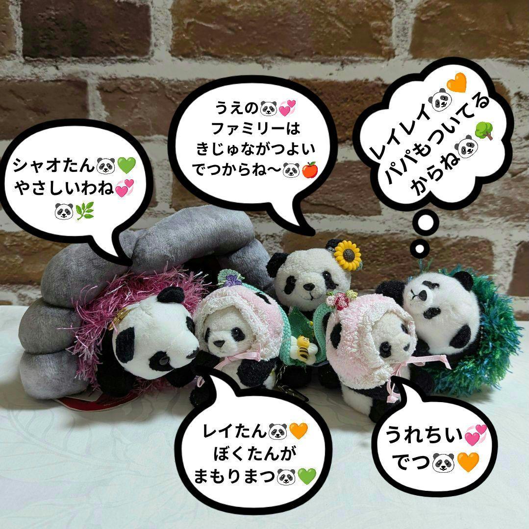 シャオたん♡レイたん♡応援グッズ☆いつも一緒♡さくらんぼ変身コスチューム