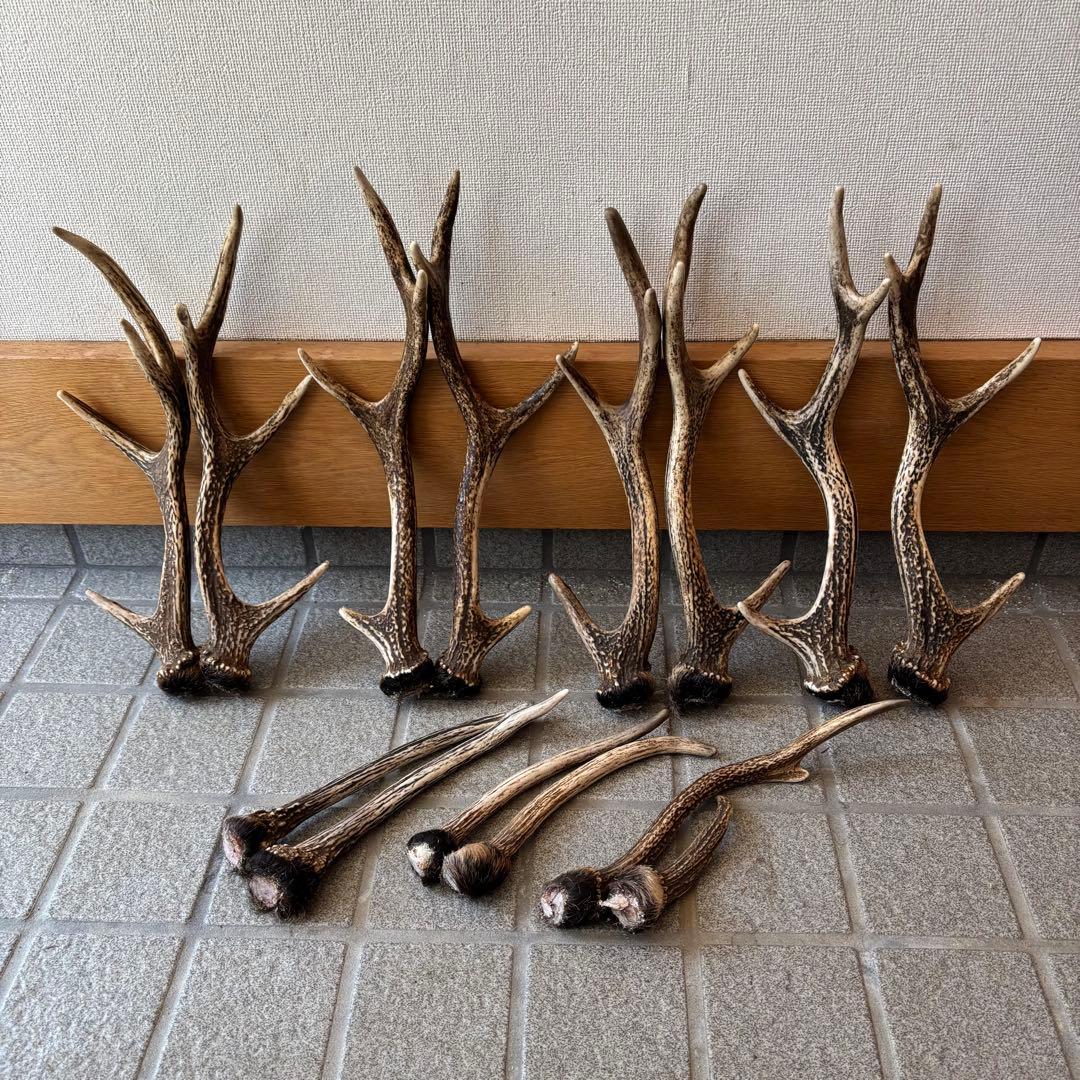 鹿の角　インテリア　ペット用