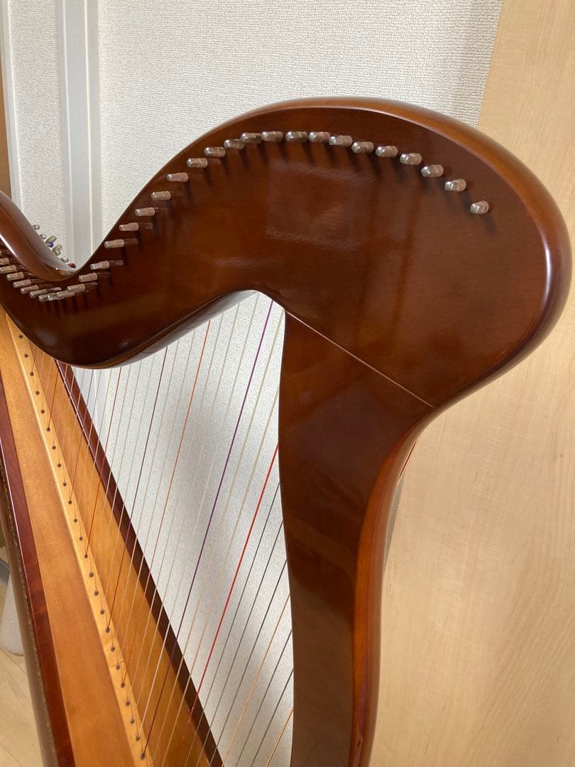 青山ハープ AOYAMA 130B 34弦