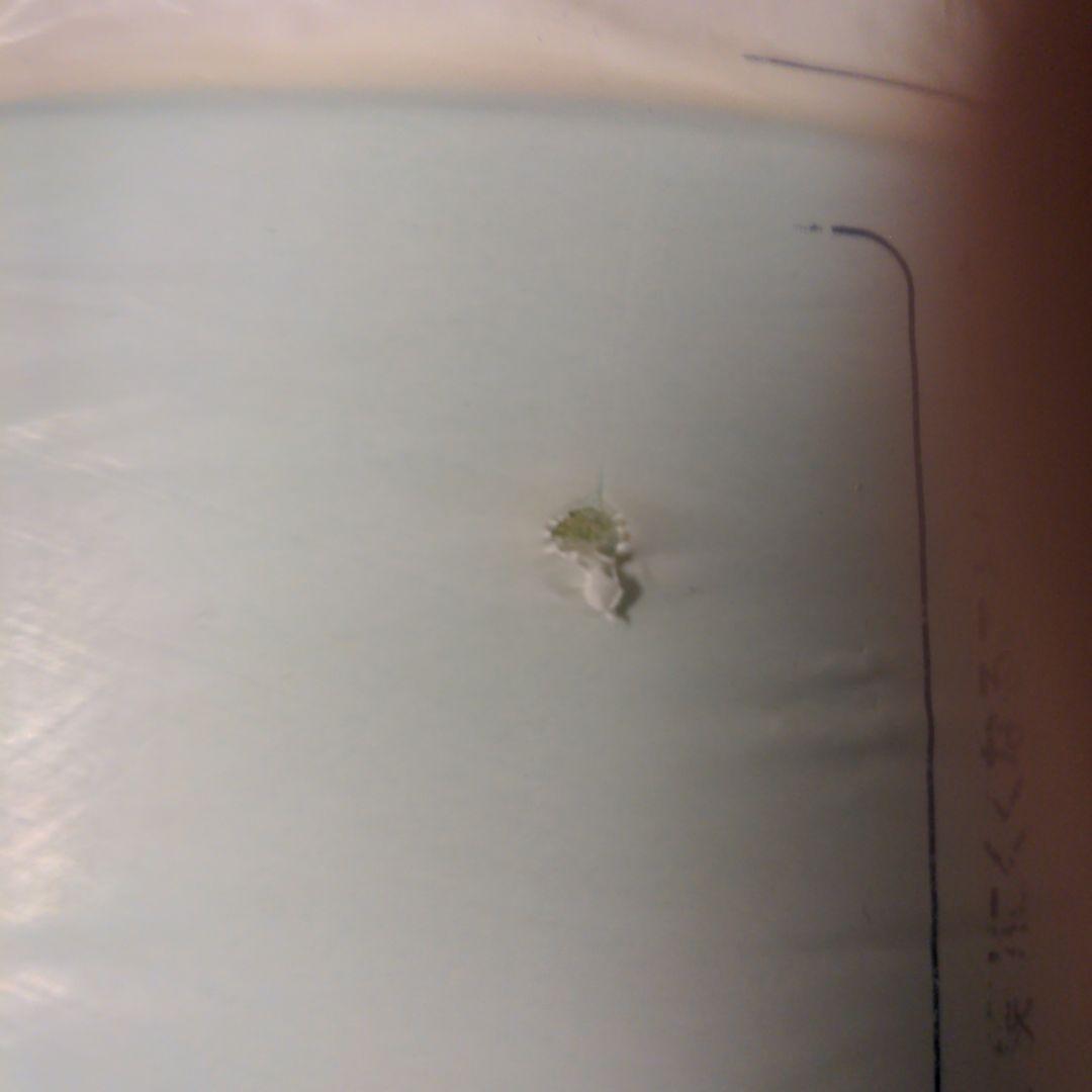 The Sleeper ノンスプリングマットレス シングル