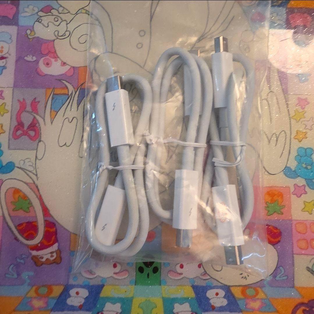 3点セットAPPLE THUNDERBOLT 2 0.5m ケーブル純正美品