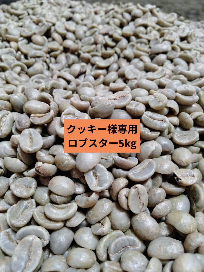 コーヒー生豆　クッキー　ロブスター5kg