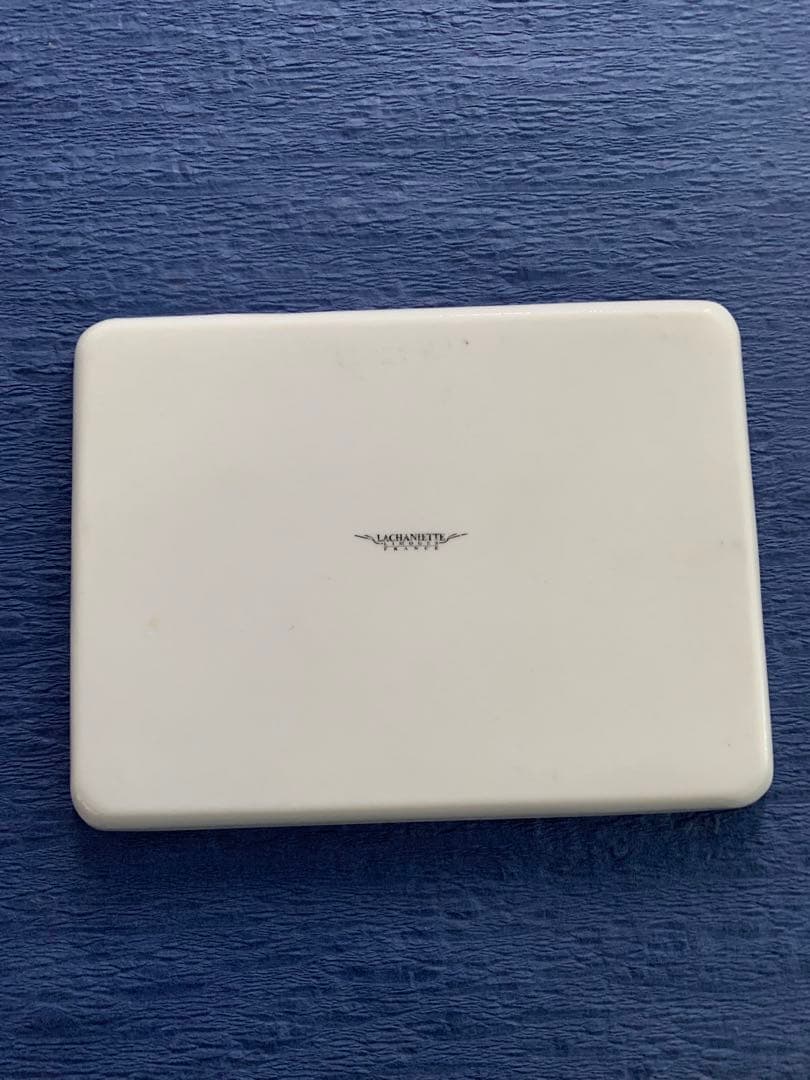 リモージュ　LACHANIETTE プレート